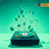 Photosynthesis (Single)