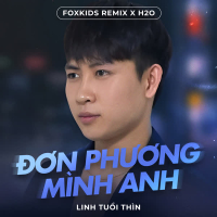 Đơn Phương Mình Anh (Remix) (Single)
