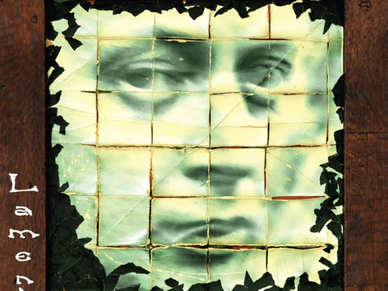 Lament for the Numb (30th Anniversary Remastered)