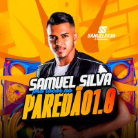 Pra Tocar no Paredão 1.0 (Single)