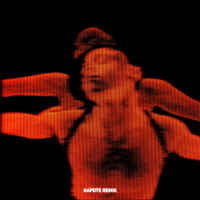 Feed The Fire (Kapote Remix) (Single)