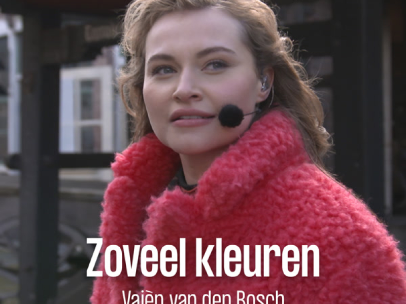 Zoveel Kleuren (Single)