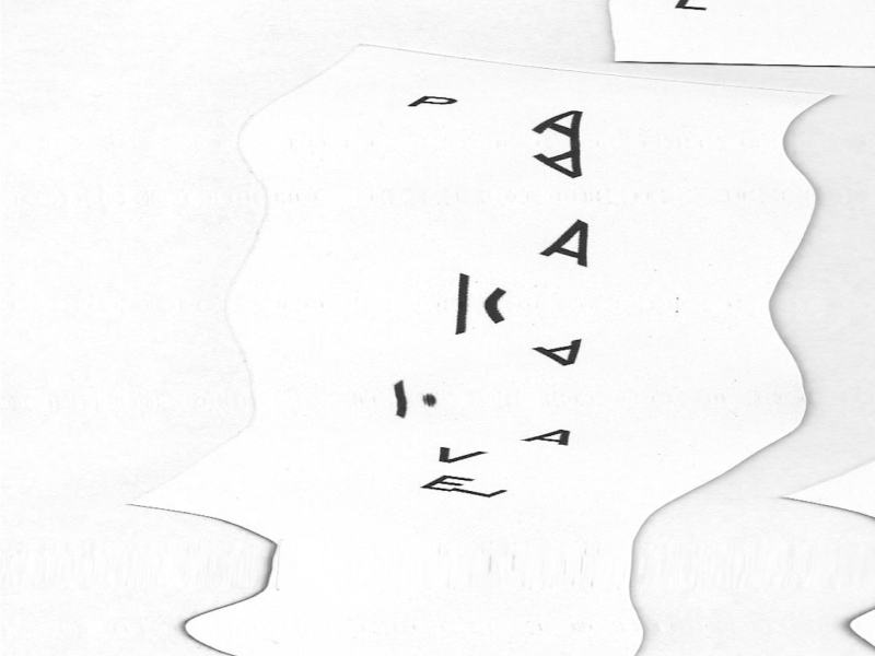 Echo Chambers Of Commerce (Single)