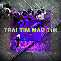 TRAI TIM MAU TIM (Single)