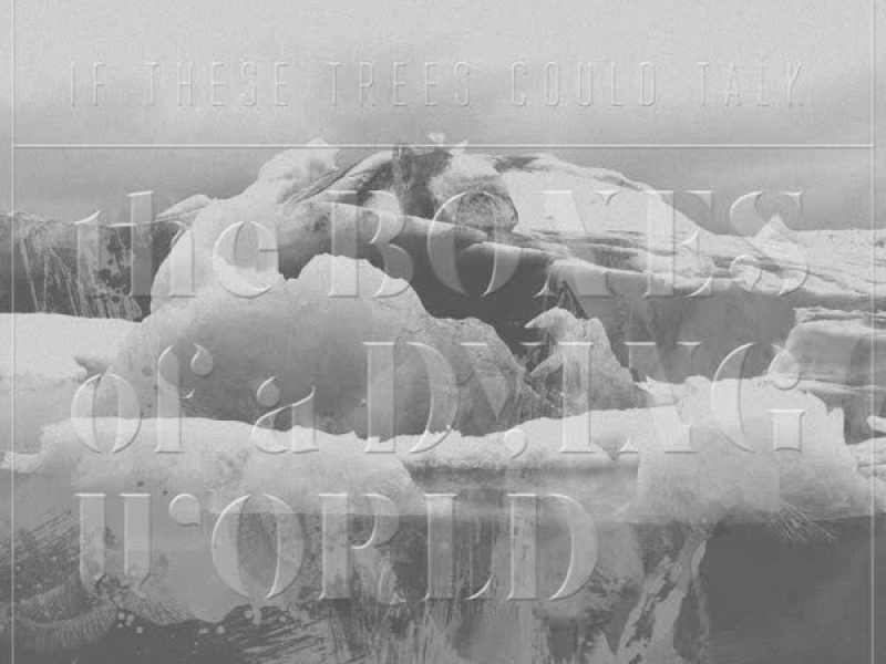 The Bones of a Dying World