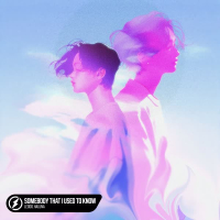 Somebody That I Used To Know (Single)