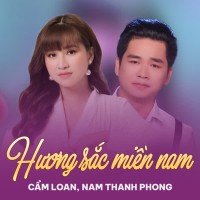 Hương Sắc Miền Nam (Single)