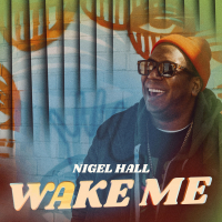 Wake Me (Single)