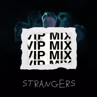 Strangers (VIP Mix) (Single)