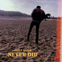 Never Did (Single)