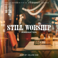 Still Worship Imagination: Best of Vol. One