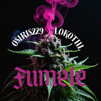 FUMELE (Single)