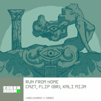 Run From Home (Single)