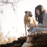 A Dog Chasing Its Own Tail (Single)