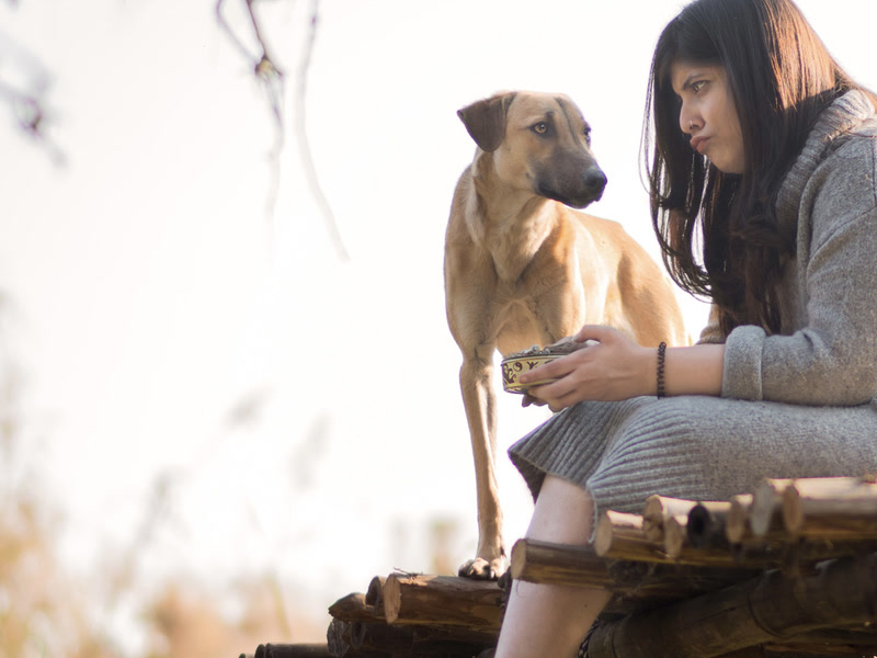 A Dog Chasing Its Own Tail (Single)