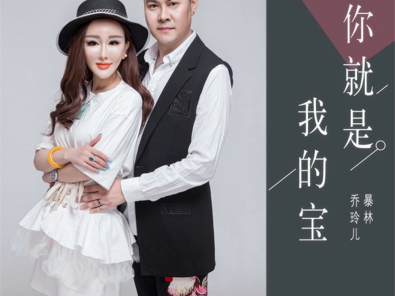 你就是我的宝 (DJ版伴奏) (Single)