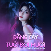 Đắng Cay Tuổi Đôi Mươi (Remix) (Single)
