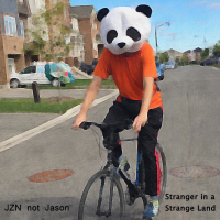 Stranger in a Strange Land (feat. JZN) (Single)