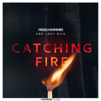 Catching Fire (Single)