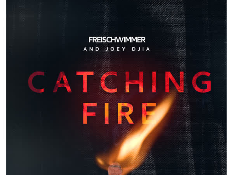 Catching Fire (Single)