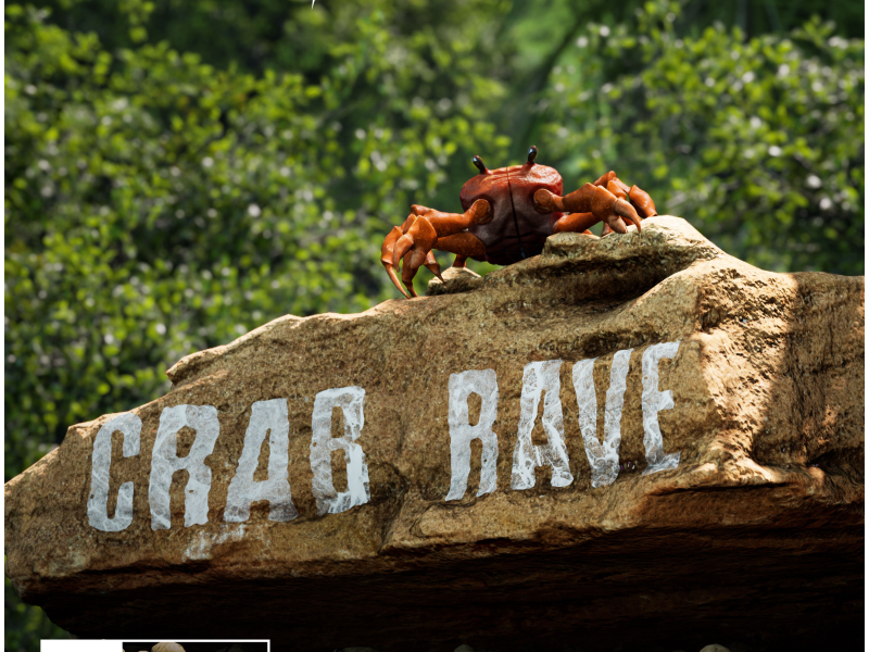 Crab Rave