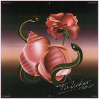 Strangers (with Mansionair) (Tinlicker Remix) (Single)