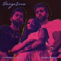Dangerous (Single)