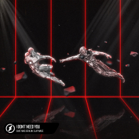 I Don't Need You (Single)