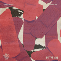 Not Your Fault (Single)