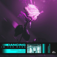 Dancing in the Dark (feat. Faithroze) (Single)