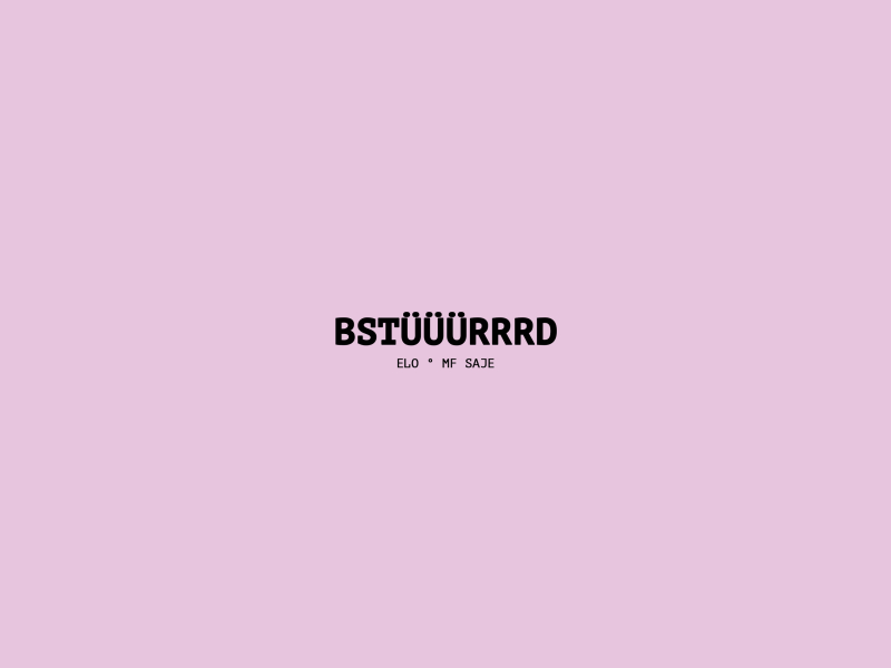 Bstüüürrrd (Single)