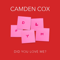Did You Love Me? (Single)