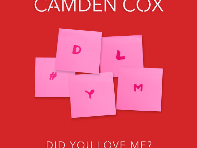 Did You Love Me? (Single)