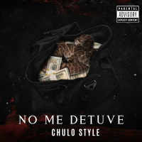 No Me Detuve (Single)