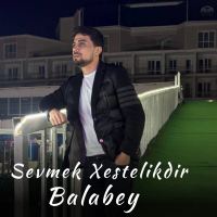 Sevmek Xestelikdir (Single)