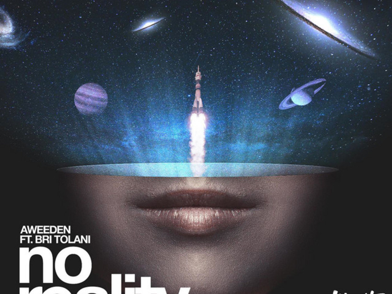 No Reality (feat. Bri Tolani) (Single)