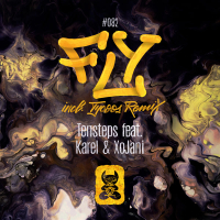 Fly (incl. Tycoos Remix) (Single)
