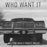Who Want It (Single)