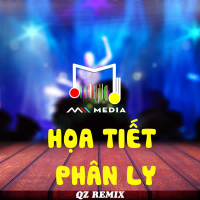 Họa Tiết Phân Ly (QZ Remix) (Single)
