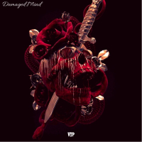 Damaged Mind VIP (VIP) (Single)