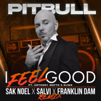 I Feel Good (Sak Noel X Salvi X Franklin Dam Remix) (Single)