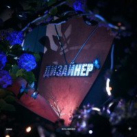 Дизайнер (Single)
