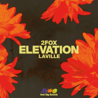 Elevation (Single)