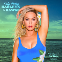 Harleys In Hawaii (Win and Woo Remix) (Single)
