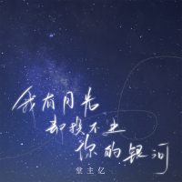 我有月光却投不进你的银河 (Single)