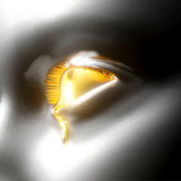 Burning (Snakehips Remix) (Single)