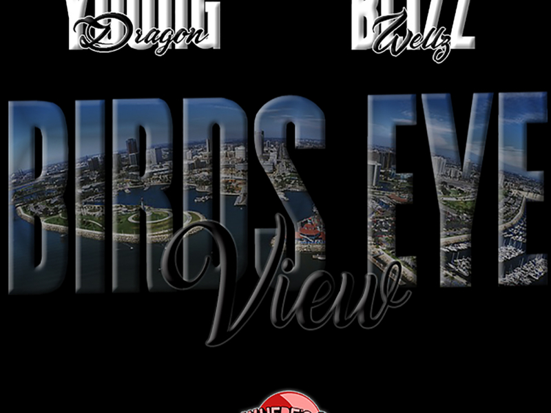 Birds Eye View (feat. Young Dragon)