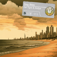 Grey Skies (Extended) (Single)