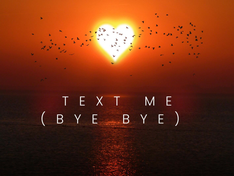 Text (Bye Bye Bye) (Single)