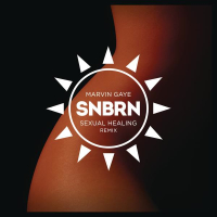 Sexual Healing (SNBRN Radio Remix) (Single)